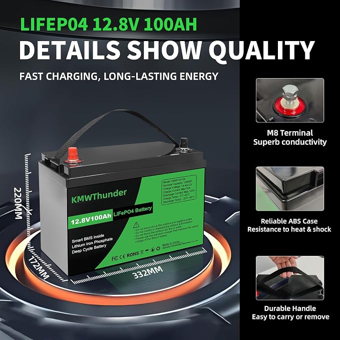 12V 100Ah LiFePO4 Lithium Battery, Built-in Smart BMS, Low Temperature
