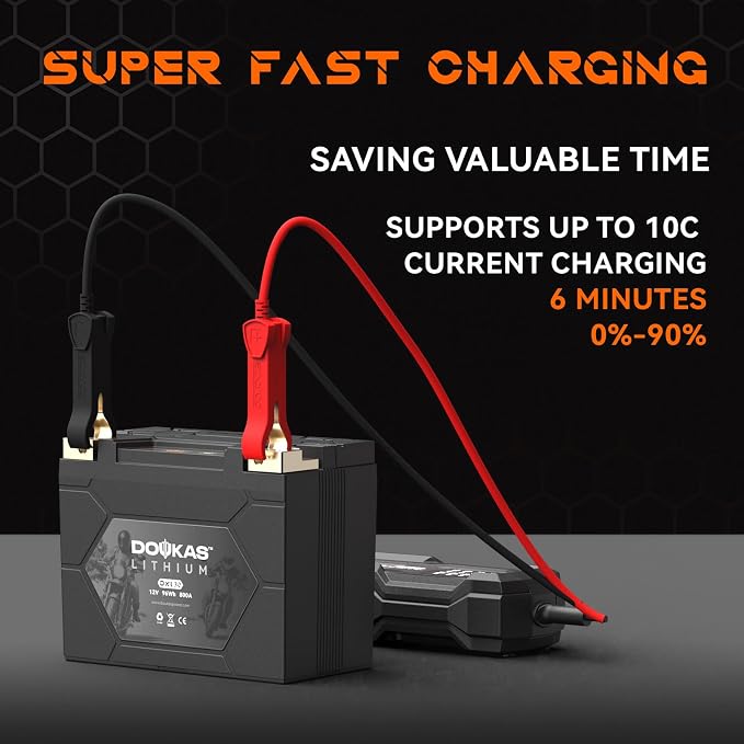 DKL30 800A LiFePO4 Motorcycle Lithium Battery, 12V 8Ah Powersports Battery