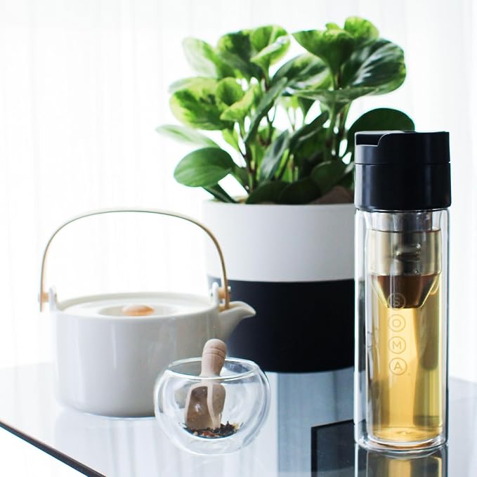 SOMA Double Wall Glass Tea and Coffee Cold Brew Bottle