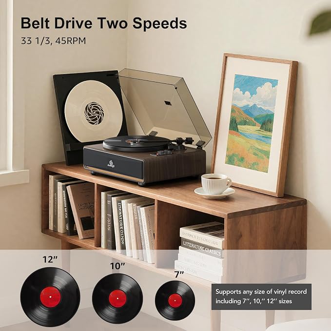 Vinyl Record Player Built in HiFi Stereo Speakers BT Wireless Input Belt Drive