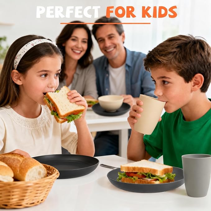 Wheat Straw Dinnerware Sets 20 PCS