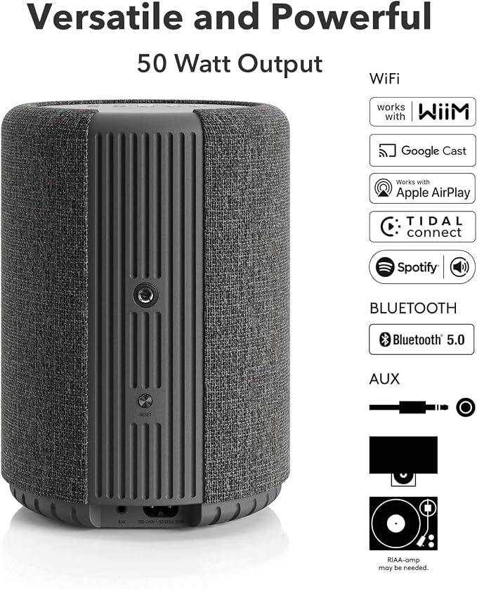 Audio Pro A10 MKII Wireless Multiroom Speaker, WiiM Edition | High Fidelity