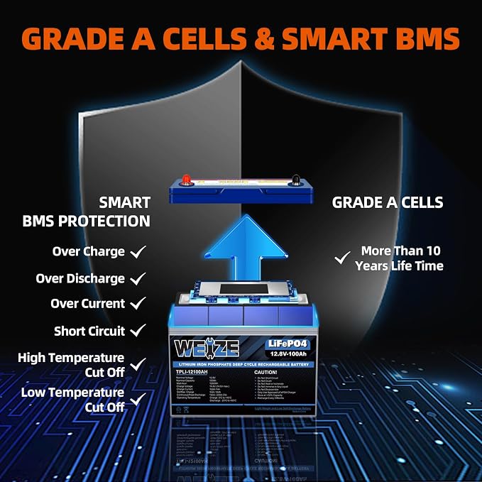 WEIZE 12V 100Ah Mini LiFePO4 Battery, Built-in 100A Smart BMS, Deep Cycle