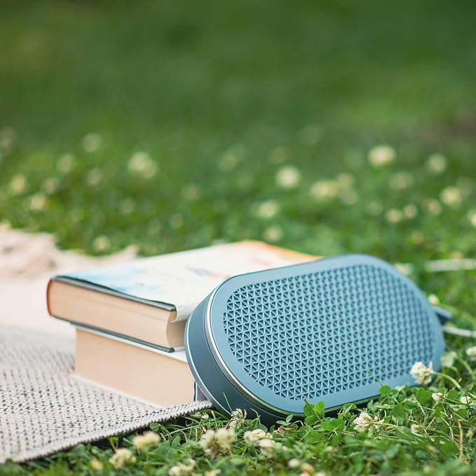 DALI Katch G2 Portable Bluetooth Speaker