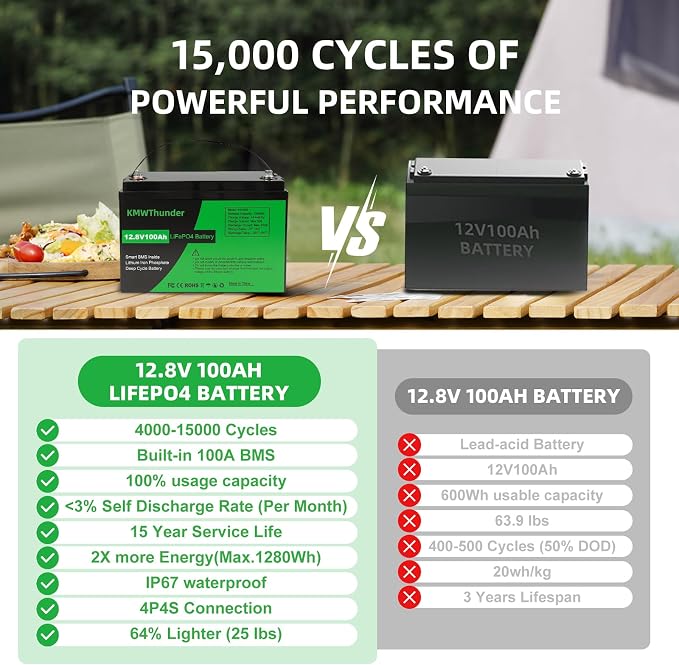 12V 100Ah LiFePO4 Lithium Battery, Built-in Smart BMS, Low Temperature