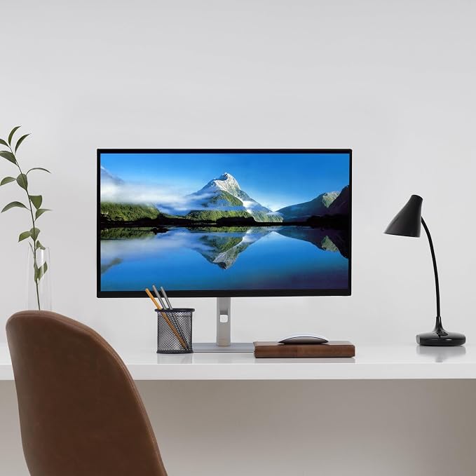 Dell 24 inch Monitor, P2425H Full HD 1080p Computer Monitor, Anti Glare 16:9
