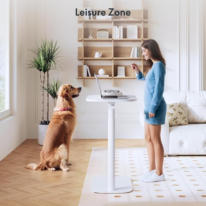 FLEXISPOT Adjustable C Table