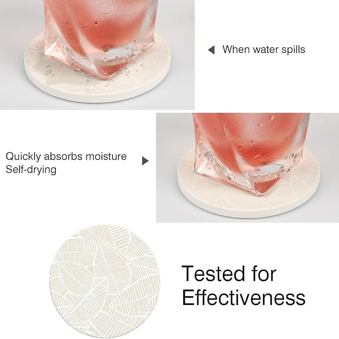 Ceramic Absorbent Table Coasters Set of 2