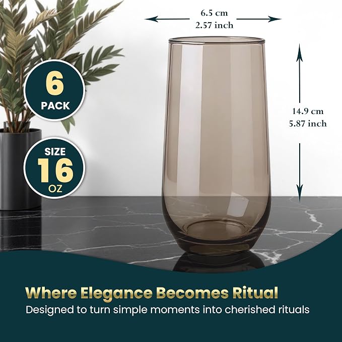 Smokey Sand Drinking Glasses Set of 6 | Translucent Brown Glassware | 16 oz