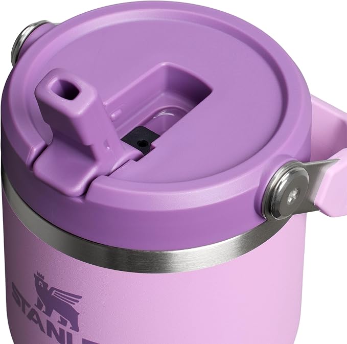 STANLEY IceFlow 2.0 Flip Straw Tumbler, 20 oz, Lilac | Easy Carry Handle |