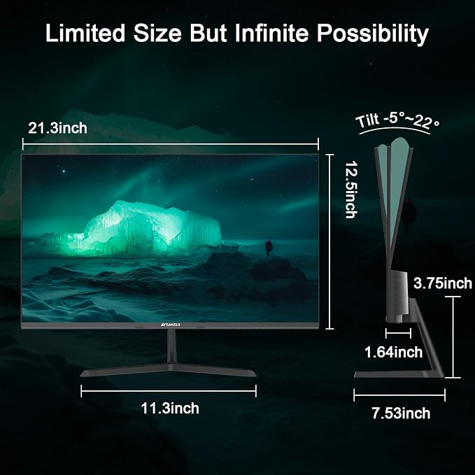 SANSUI 24 inch Monitor, IPS Display FHD Computer Monitor, 100Hz Monitor VESA