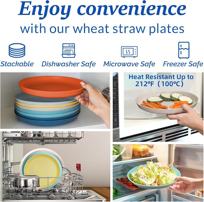 10 Inch Large Plastic Dinner Plates Set of 8 Wheat Straw Plates