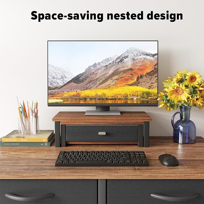 WOHOMO Dual Monitor Stand Riser