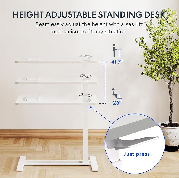 FLEXISPOT Adjustable C Table