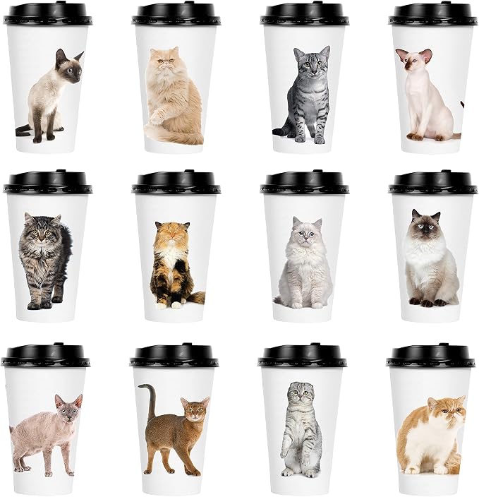 Youngever 72 Sets Disposable Coffee Cups
