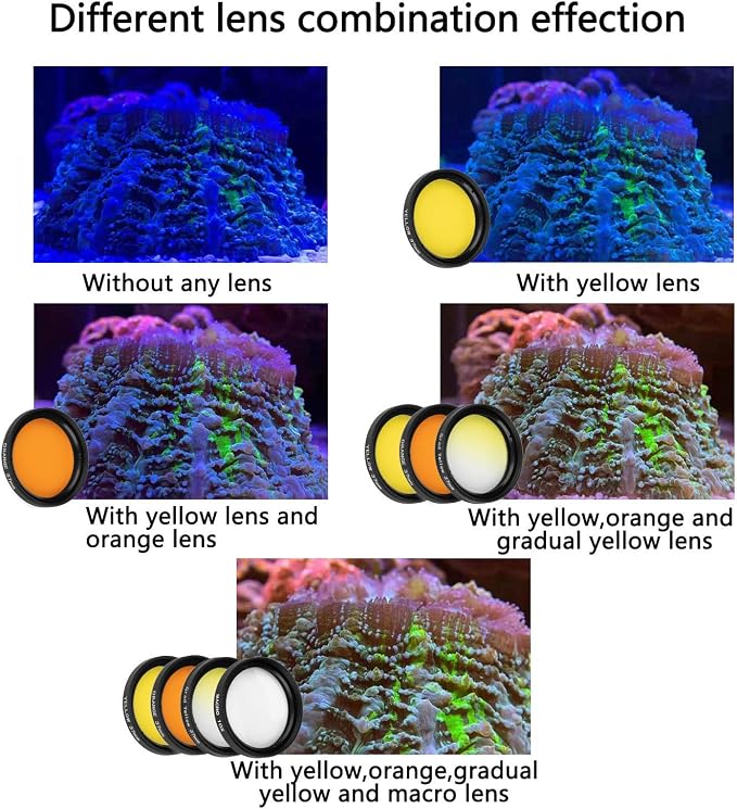 Reef Coral Lens Phone Kits for Phone 7 Lenses Kit 1 Dust Shield Case 2 Lens