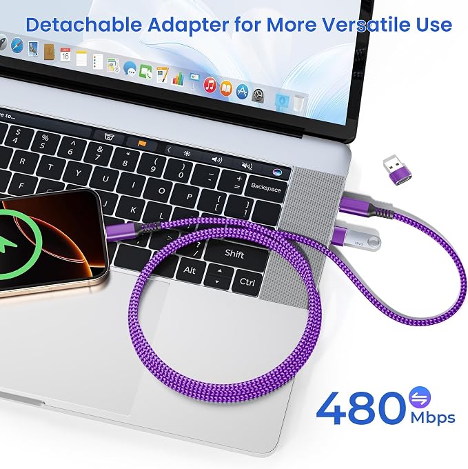 Elebase USB Type C to C 100W Cable 3.3FT