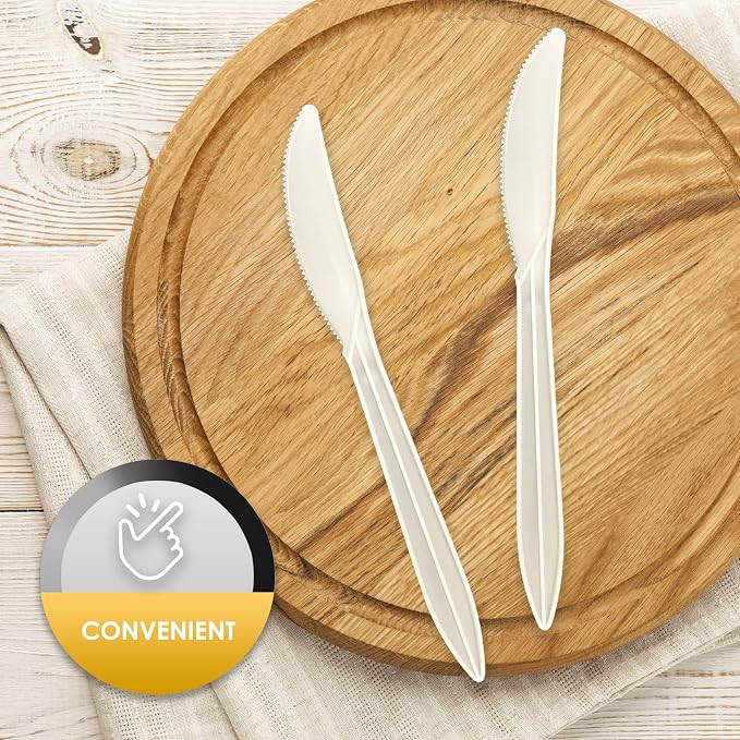 PAMI Medium Weight Disposable Plastic Knives, Bulk Pack