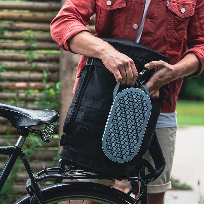 DALI Katch G2 Portable Bluetooth Speaker
