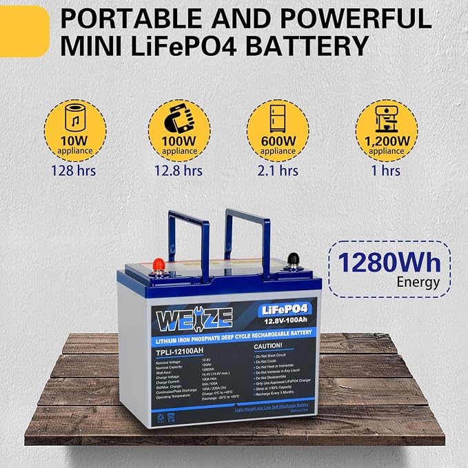 WEIZE 12V 100Ah Mini LiFePO4 Battery, Built-in 100A Smart BMS, Deep Cycle