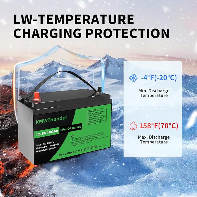 12V 100Ah LiFePO4 Lithium Battery, Built-in Smart BMS, Low Temperature