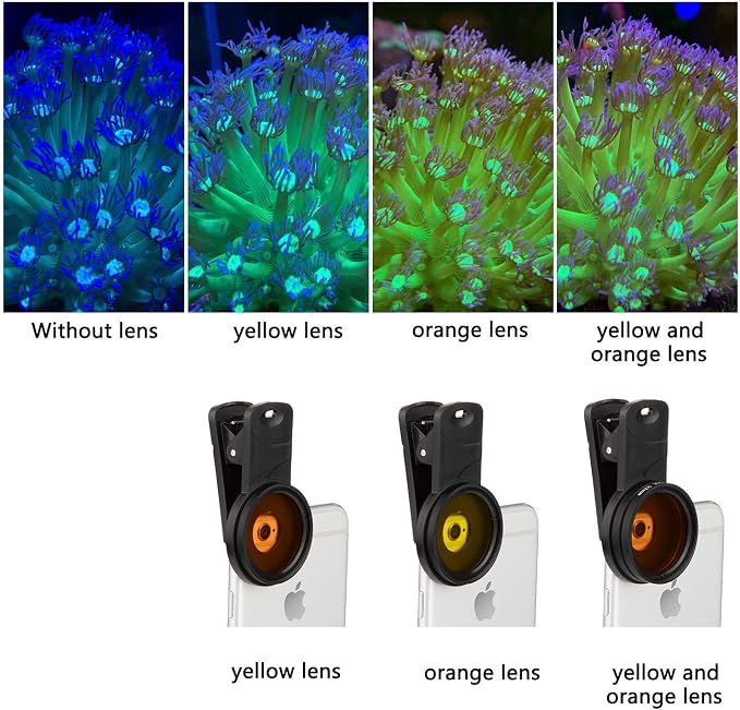 Reef Coral Lens Phone Kits for Phone 7 Lenses Kit 1 Dust Shield Case 2 Lens