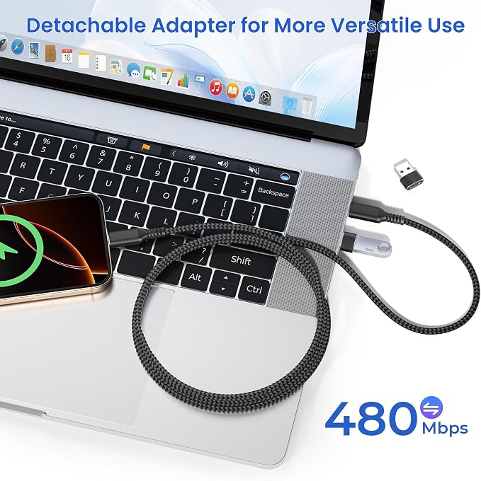Elebase USB Type C to C 100W Cable 10FT