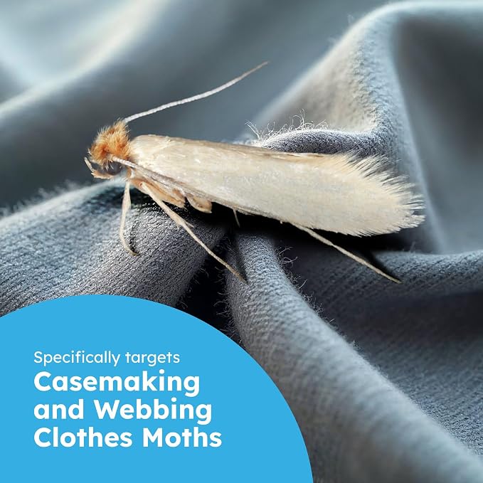 Clothes & Pantry Moth Traps – Sticky Glue Pheromone-Based