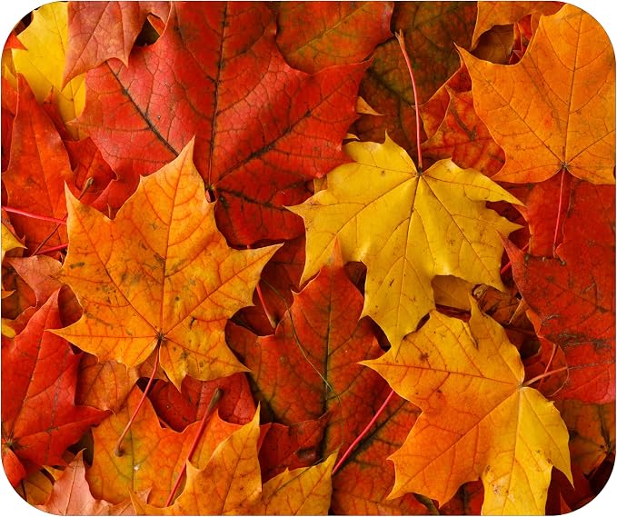 Fall Season Mouse Pad Mat Mousepad