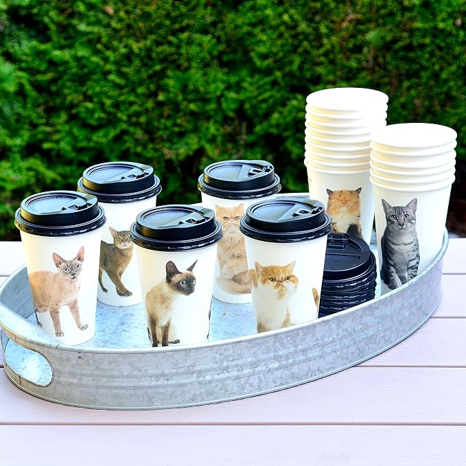 Youngever 72 Sets Disposable Coffee Cups